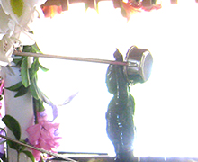 花まつり②