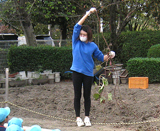芋掘り①