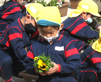 花苗植え④