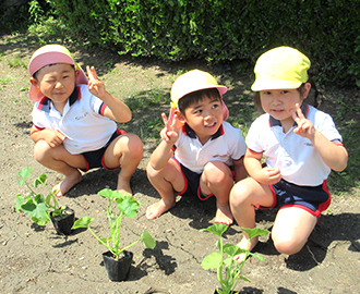 野菜苗植え⑥