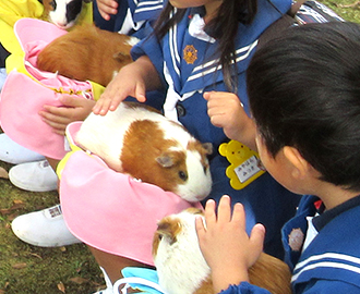 アフリカンサファリ「バス遠足」③