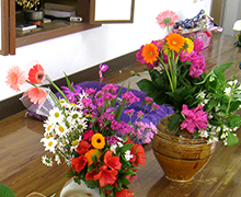 お花まつり④